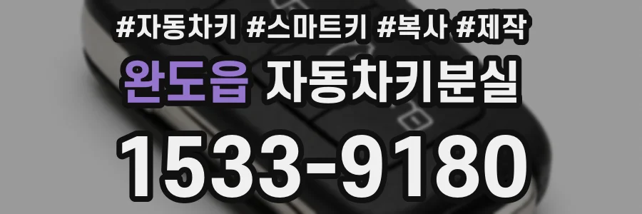 완도읍 자동차키분실