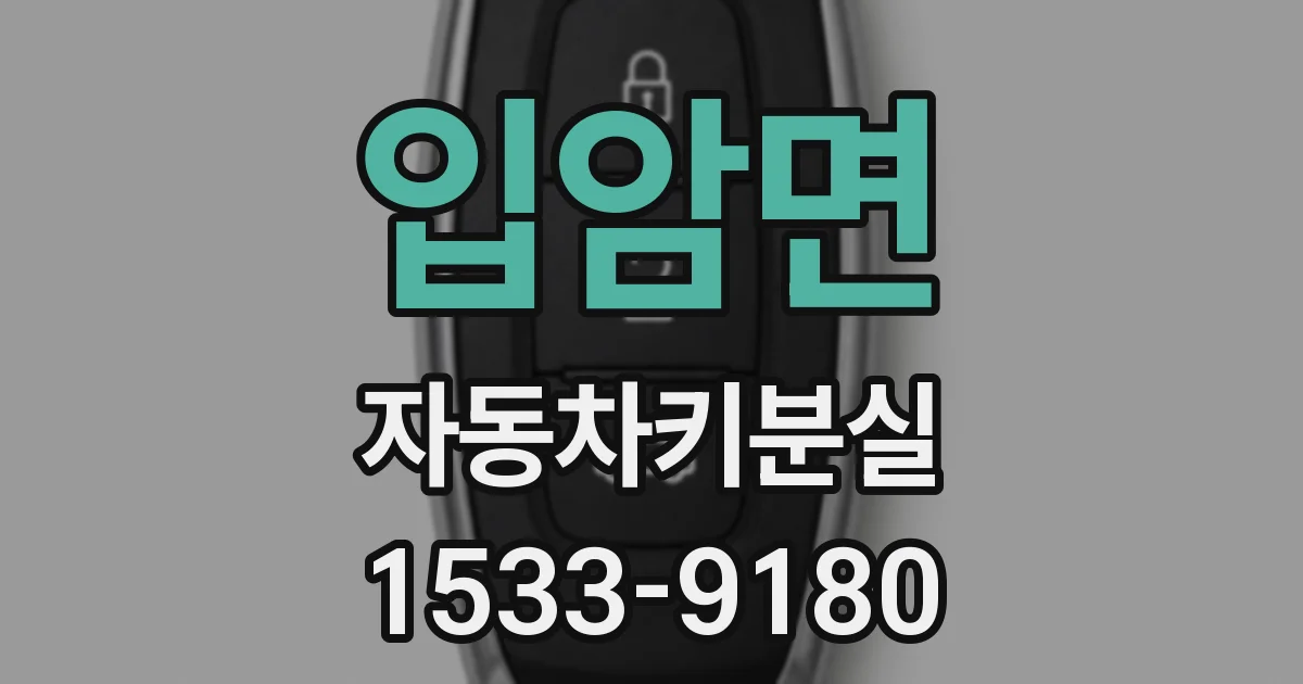 입암면 자동차키분실