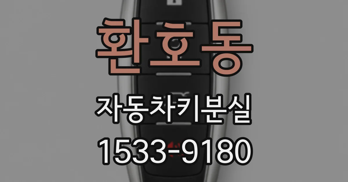 환호동 자동차키분실