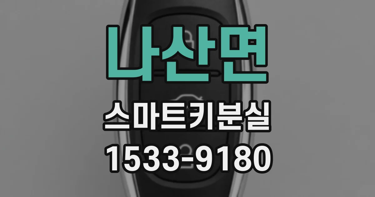 나산면 스마트키분실