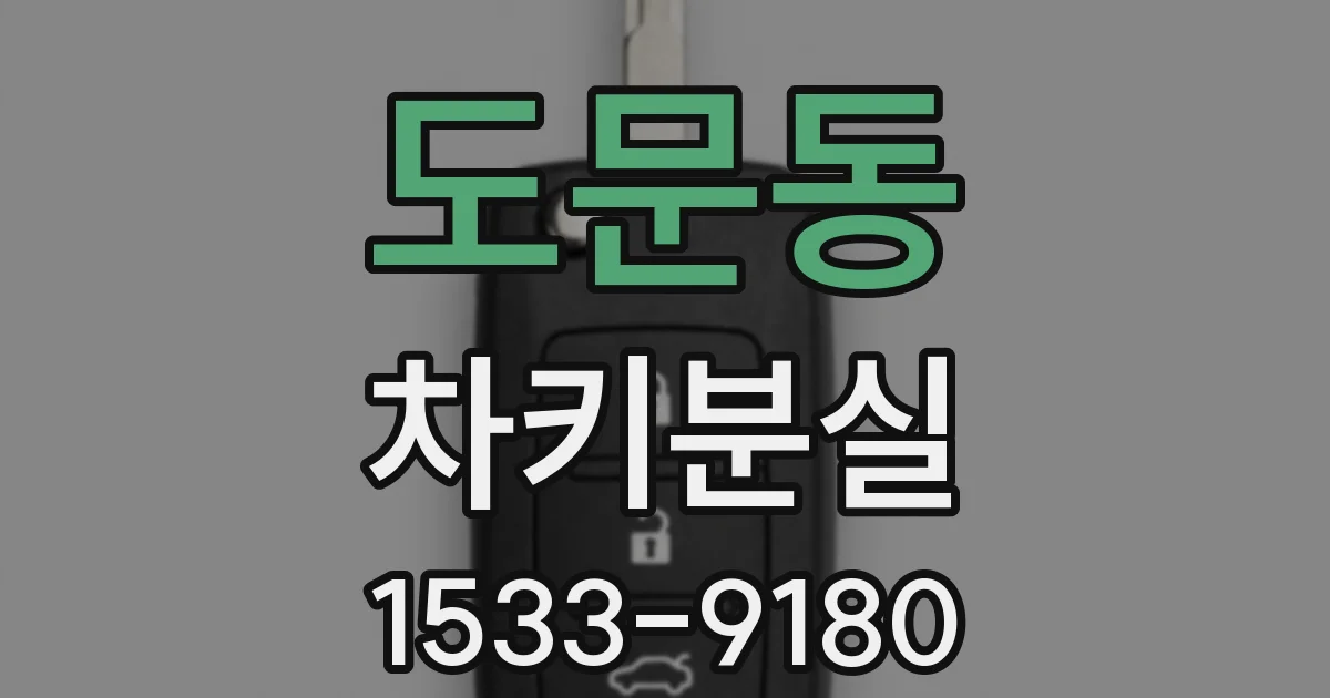 도문동 차키분실