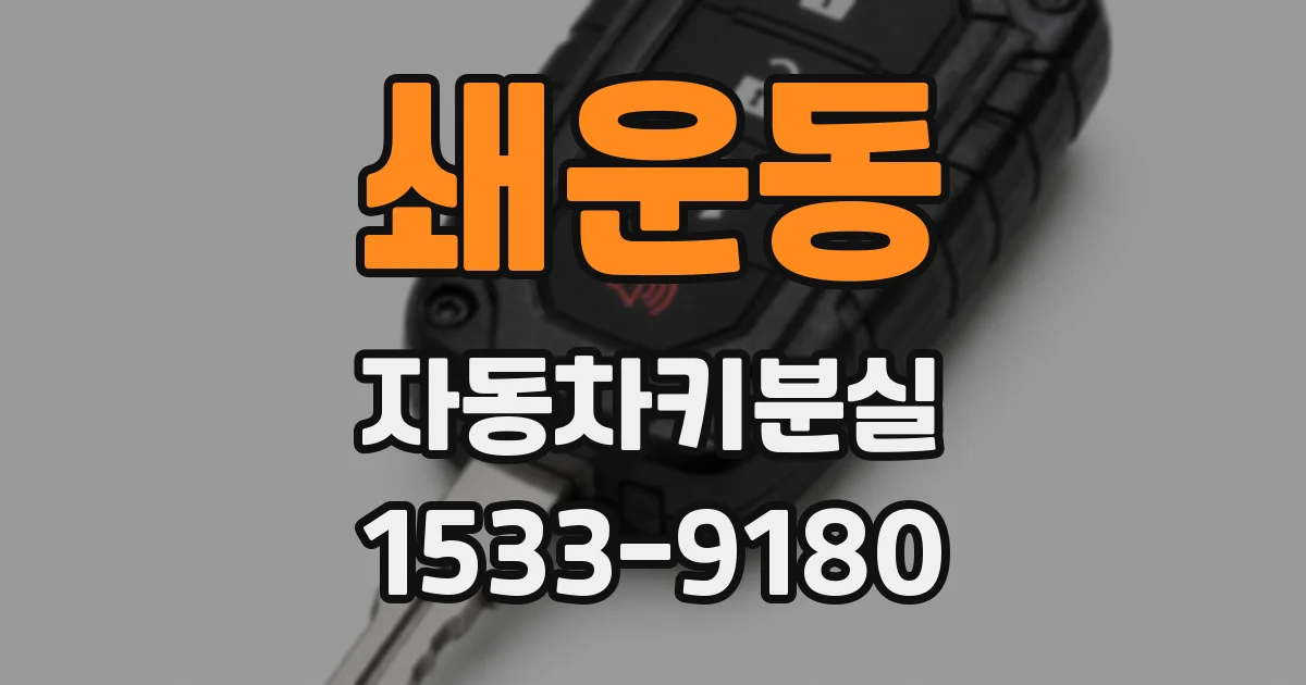 쇄운동 자동차키분실