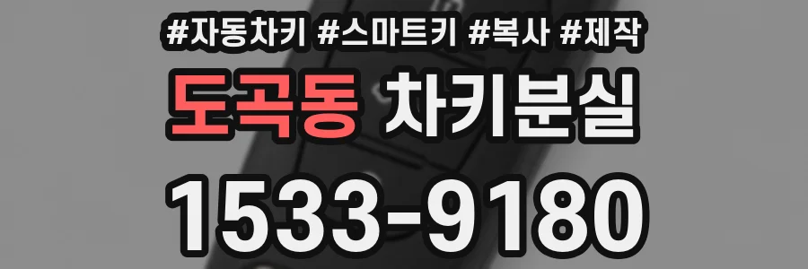 도곡동 차키분실