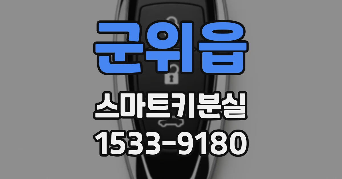 군위읍 스마트키분실