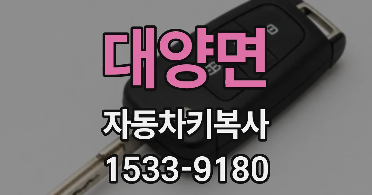 대양면 자동차키복사