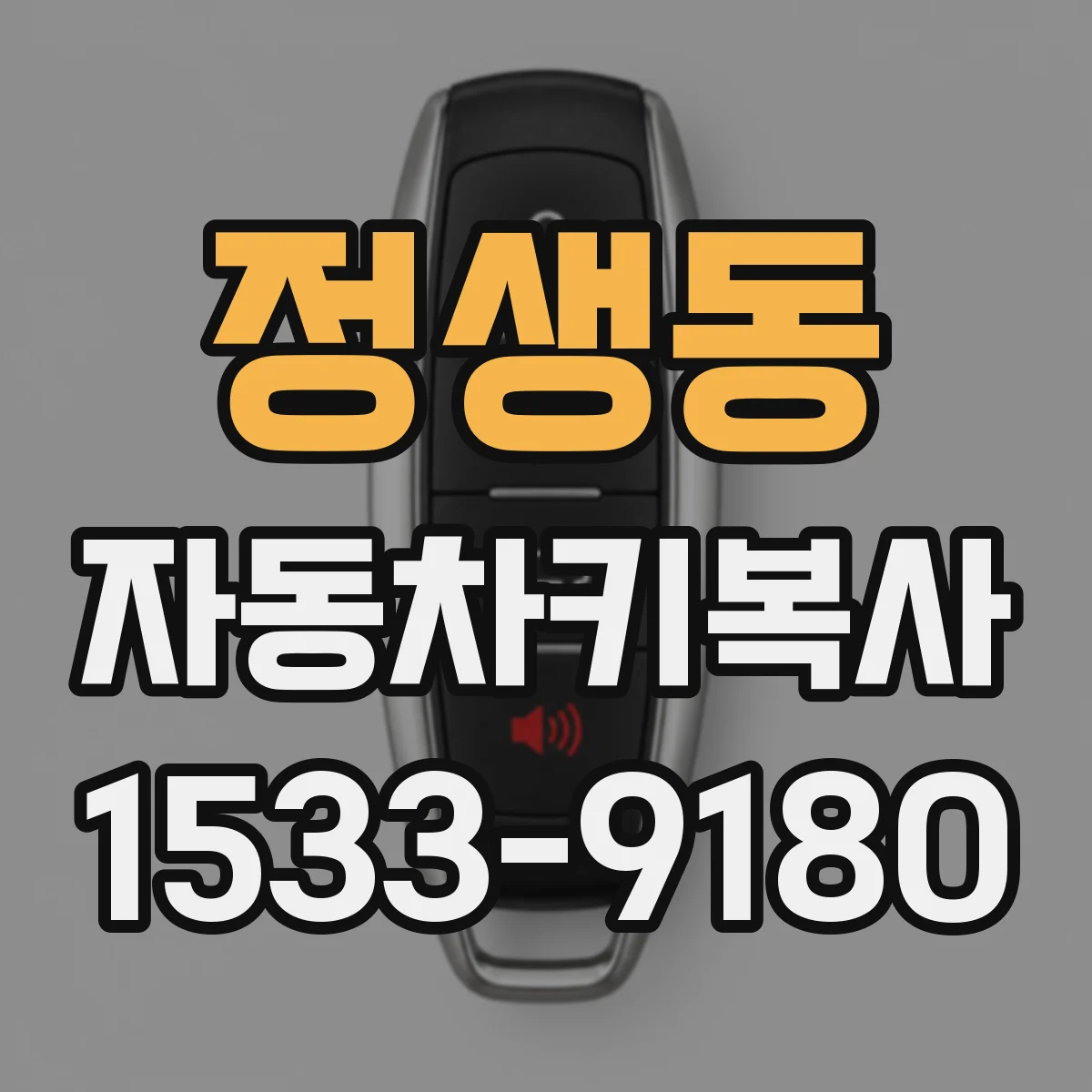 정생동 자동차키복사