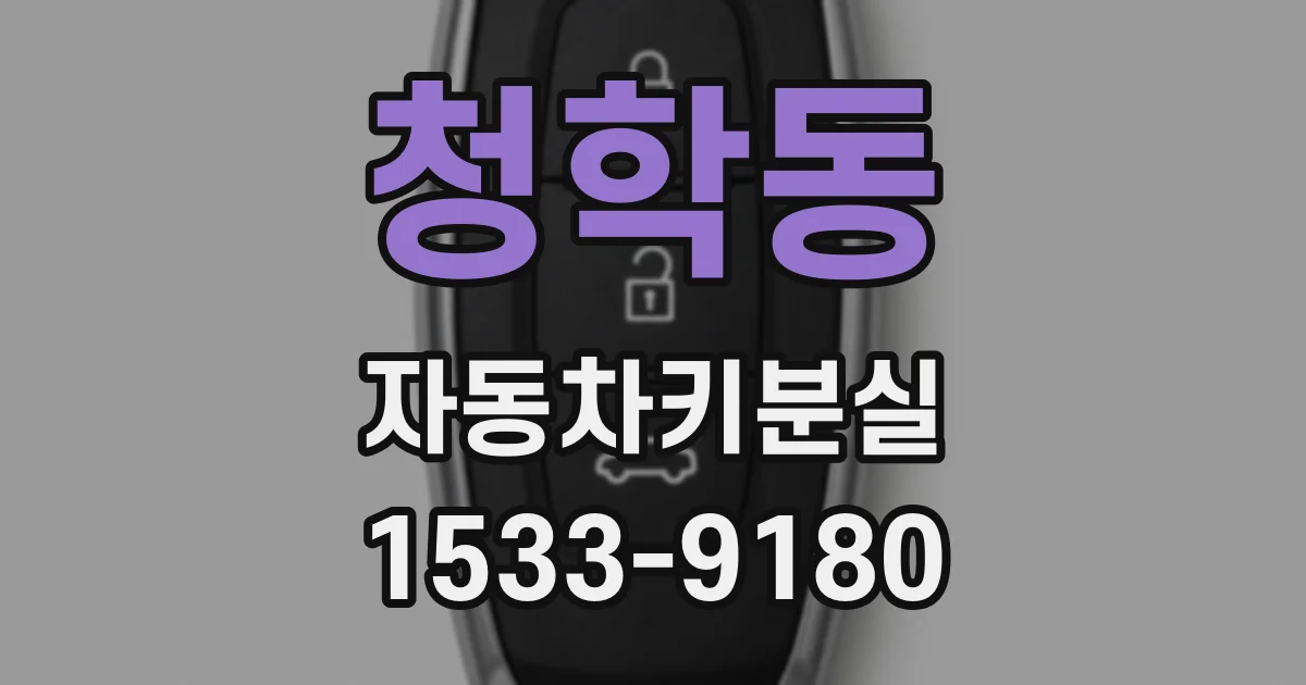 청학동 자동차키분실