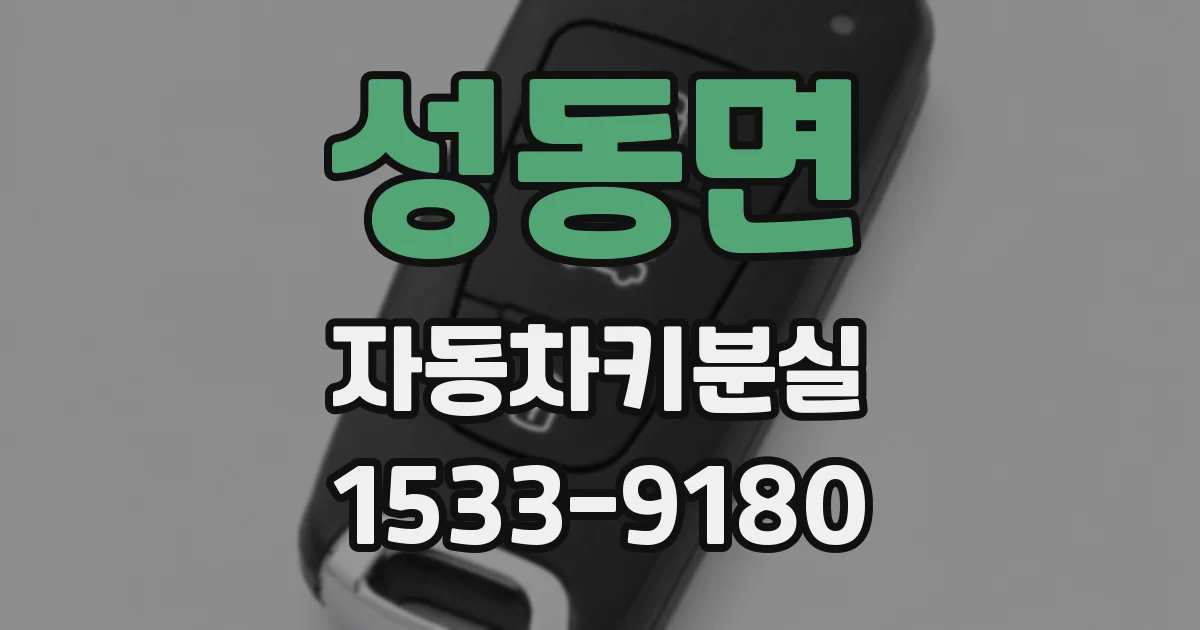 성동면 자동차키분실