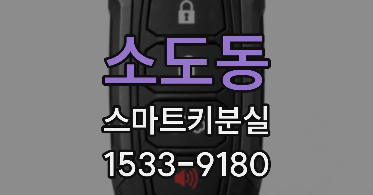 소도동 스마트키분실