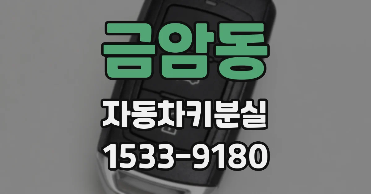 금암동 자동차키분실