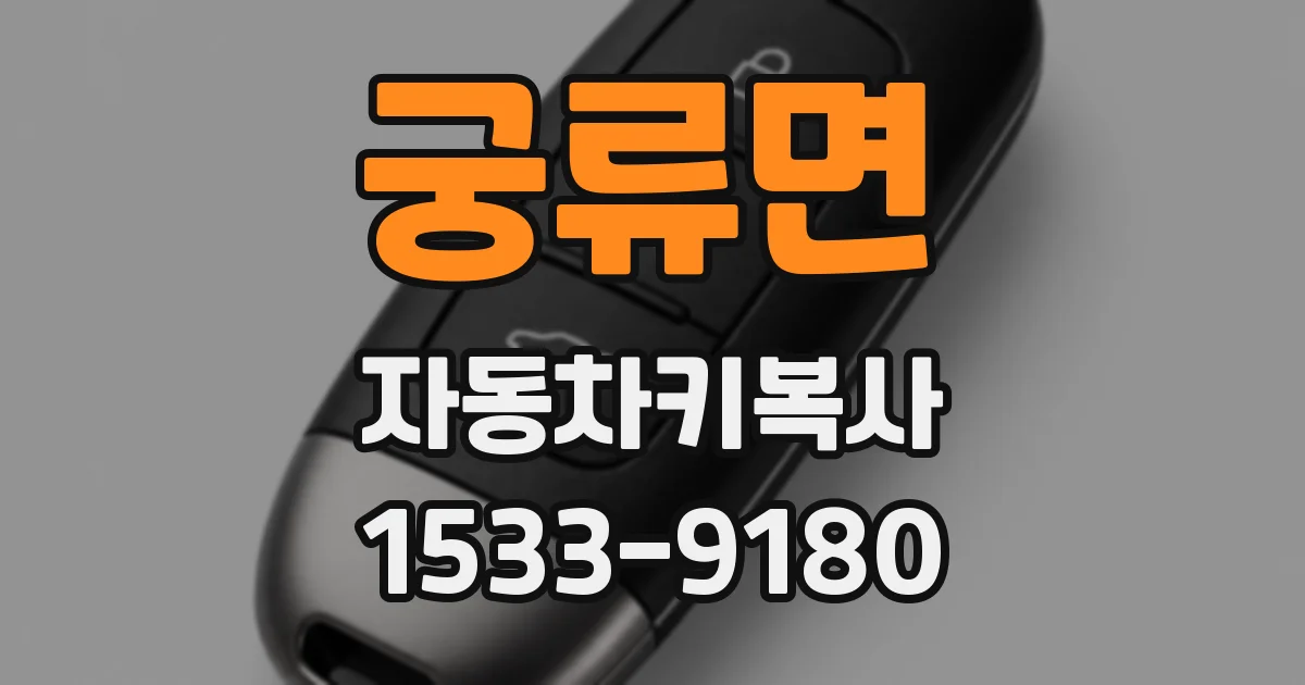 궁류면 자동차키복사