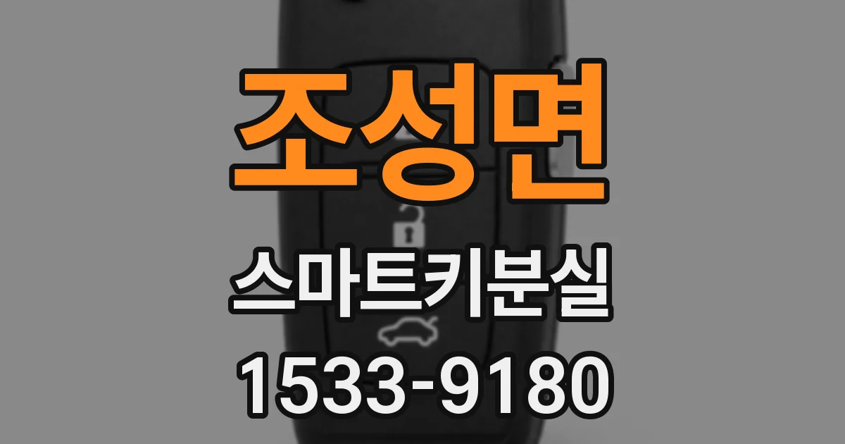 조성면 스마트키분실