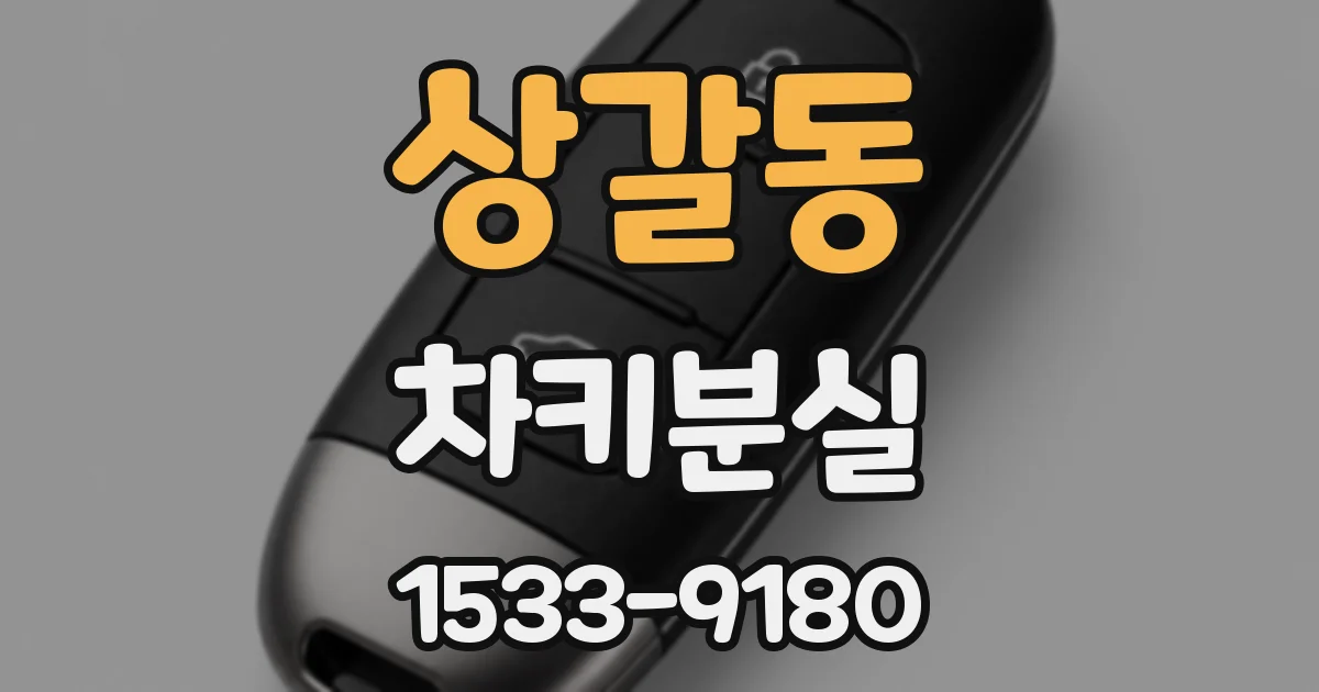 상갈동 차키분실