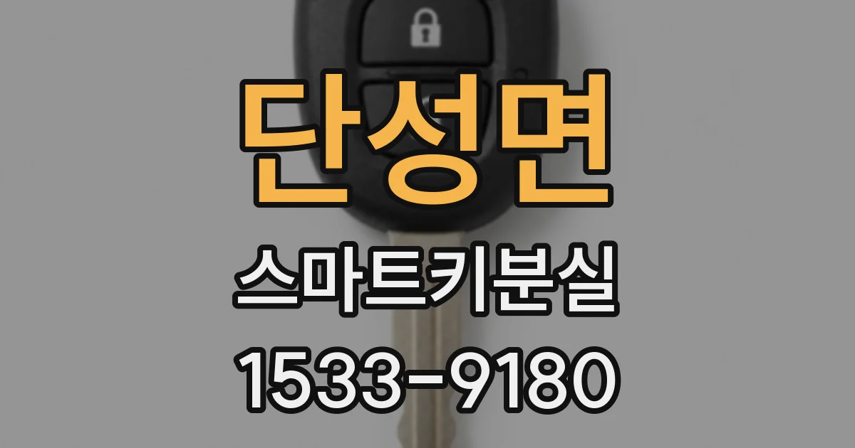 단성면 스마트키분실