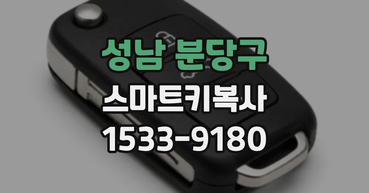 성남 분당구 스마트키복사