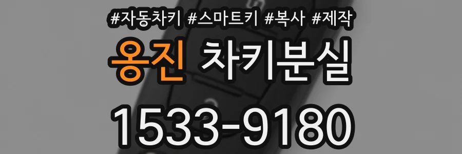 옹진 차키분실