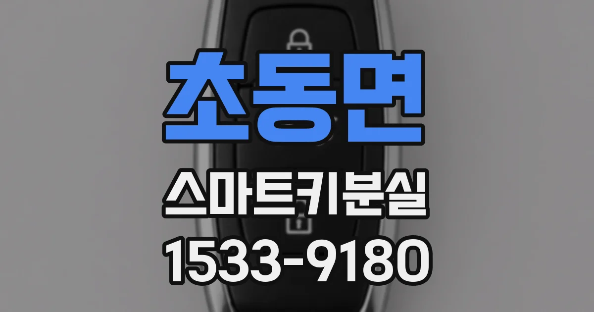 초동면 스마트키분실