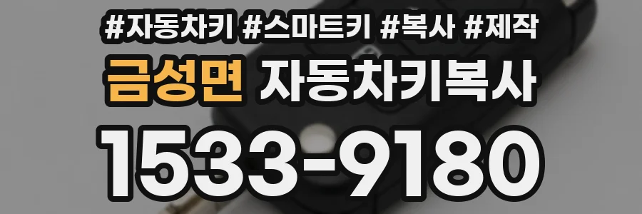 금성면 자동차키복사