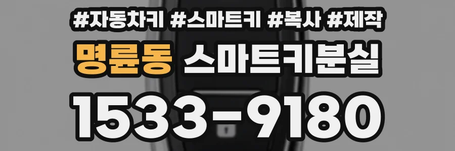 명륜동 스마트키분실