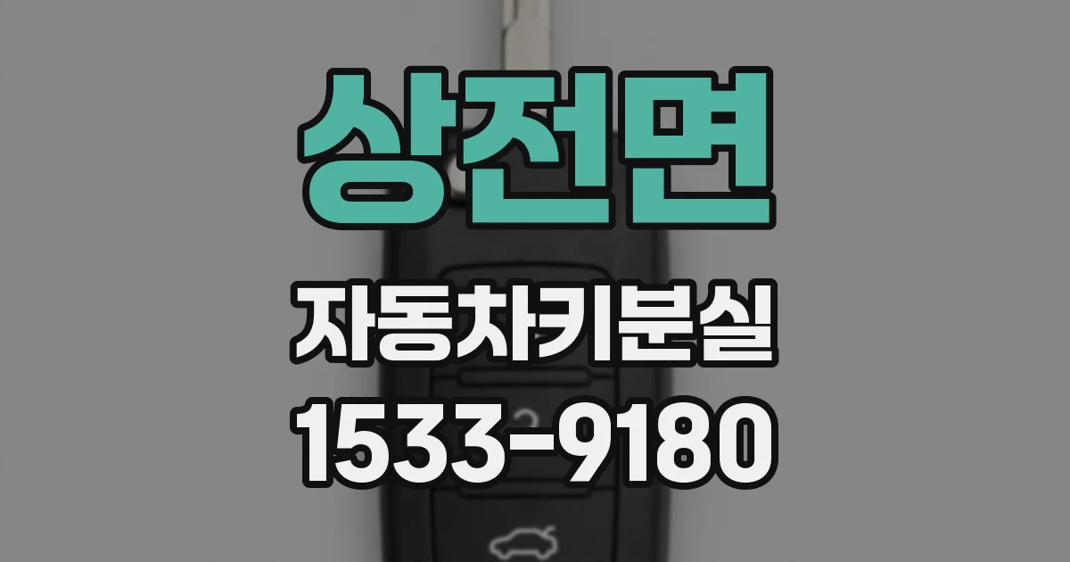 상전면 자동차키분실