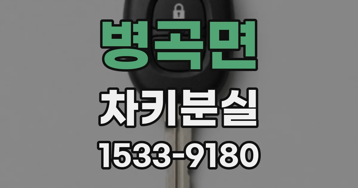 병곡면 차키분실
