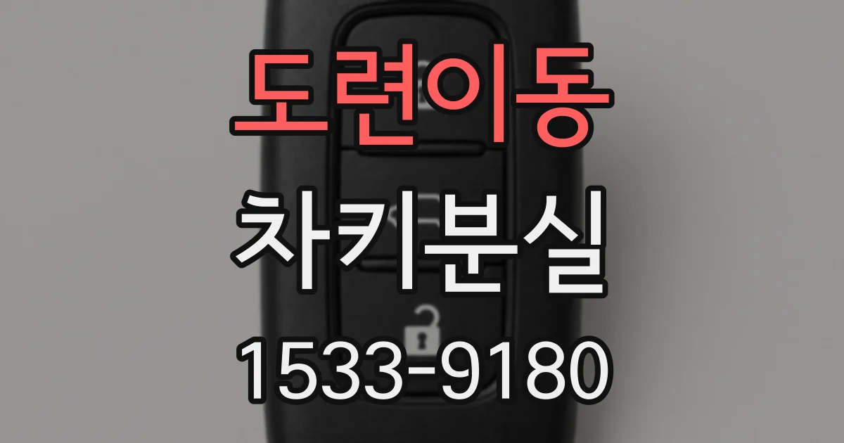 도련이동 차키분실