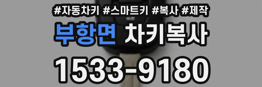 부항면 차키복사