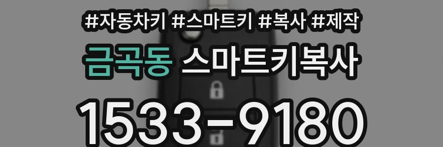 금곡동 스마트키복사