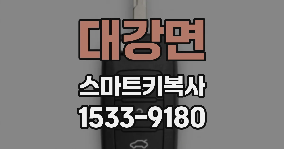 대강면 스마트키복사