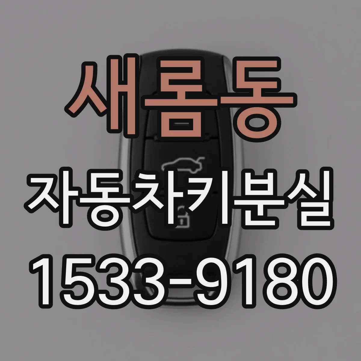 새롬동 자동차키분실