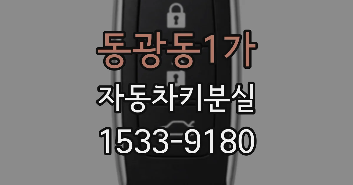 동광동1가 자동차키분실