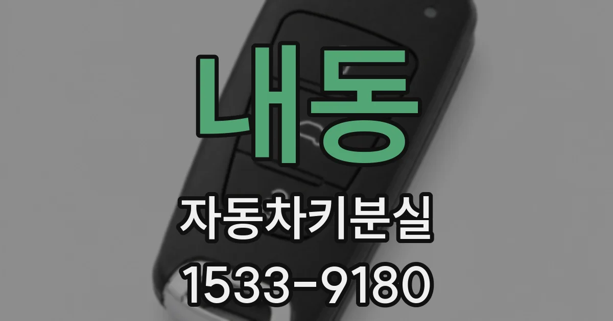 내동 자동차키분실
