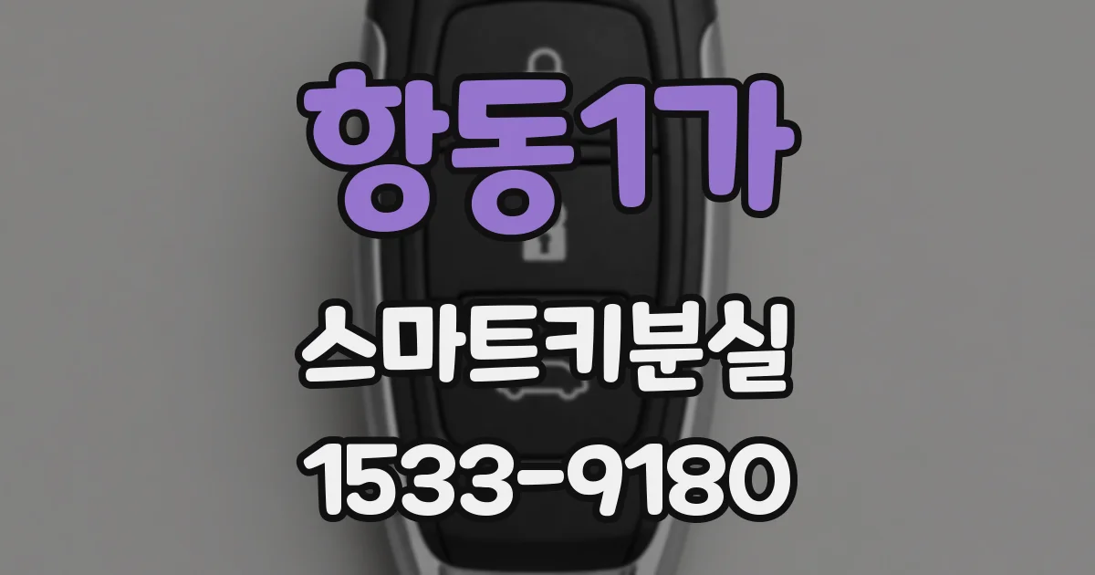 항동1가 스마트키분실