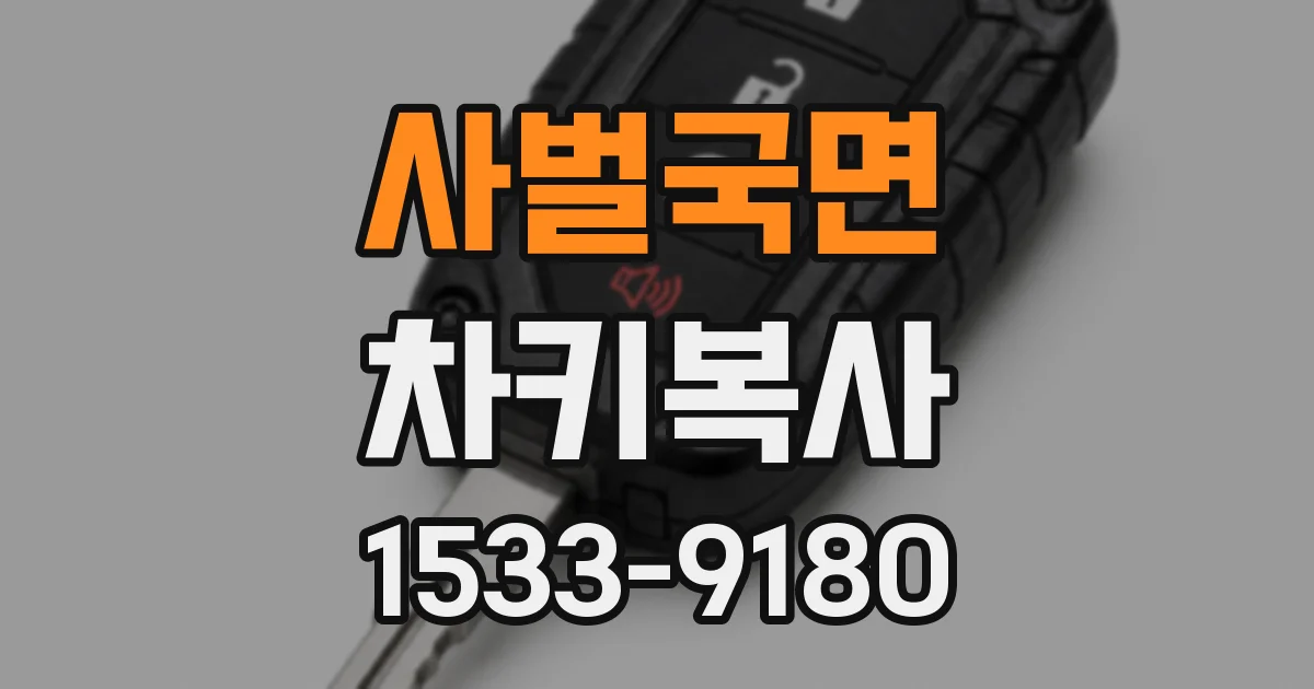 사벌국면 차키복사