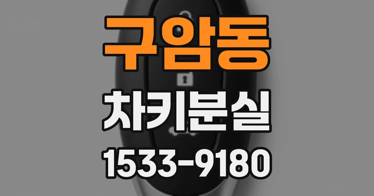 구암동 차키분실