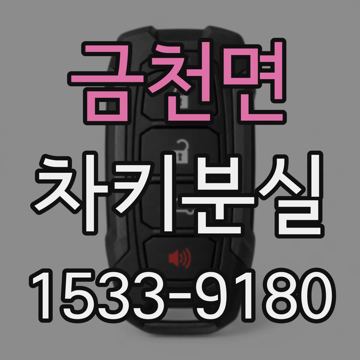 금천면 차키분실