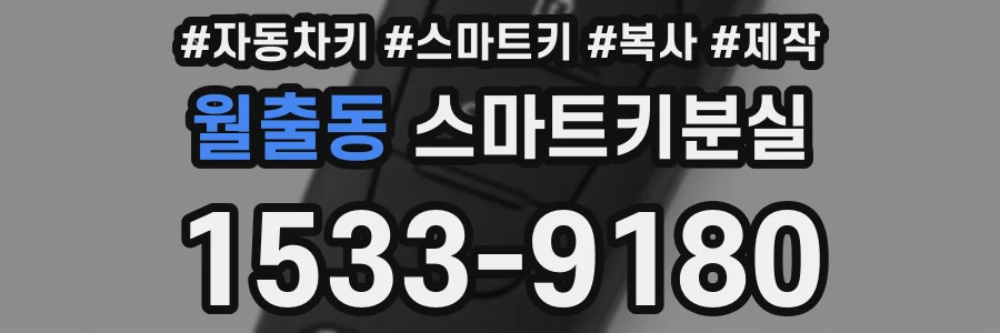 월출동 스마트키분실