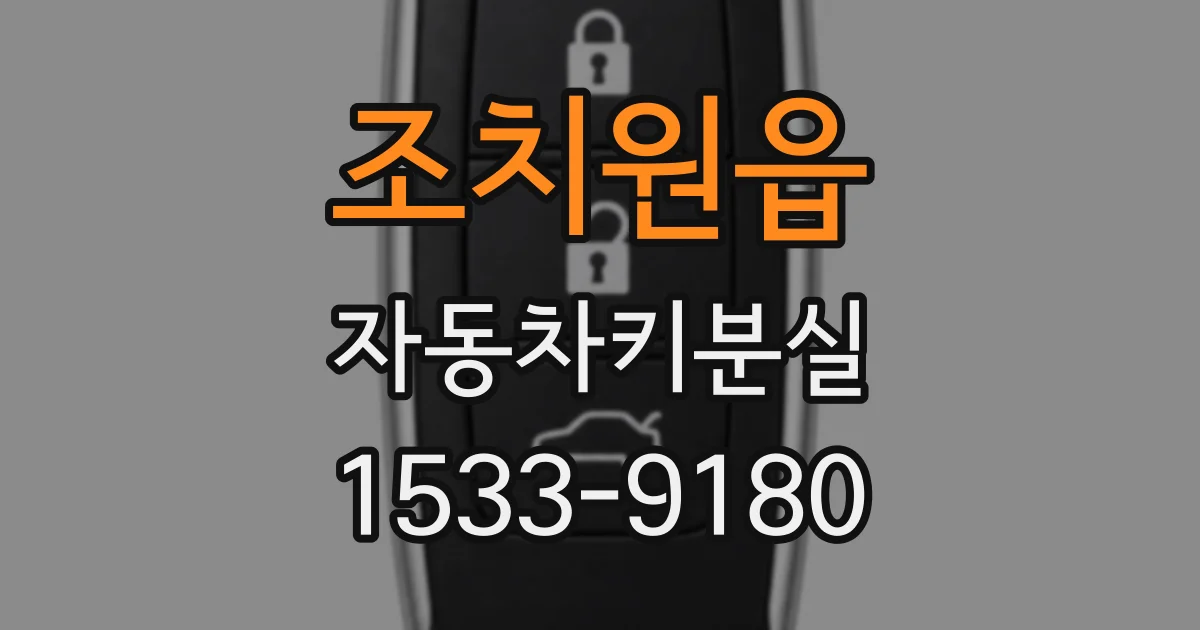 조치원읍 자동차키분실