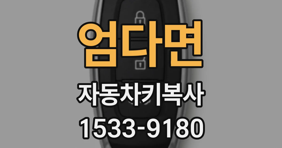 엄다면 자동차키복사