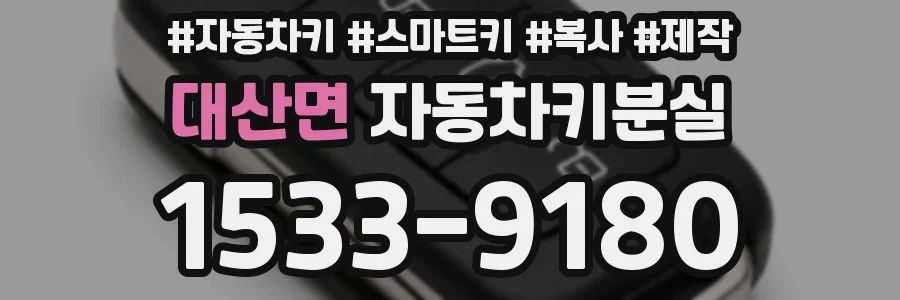 대산면 자동차키분실