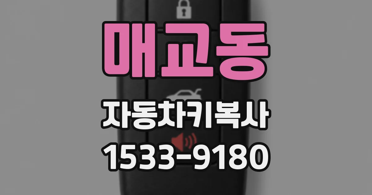매교동 자동차키복사