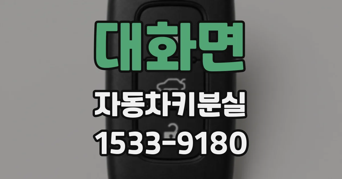 대화면 자동차키분실