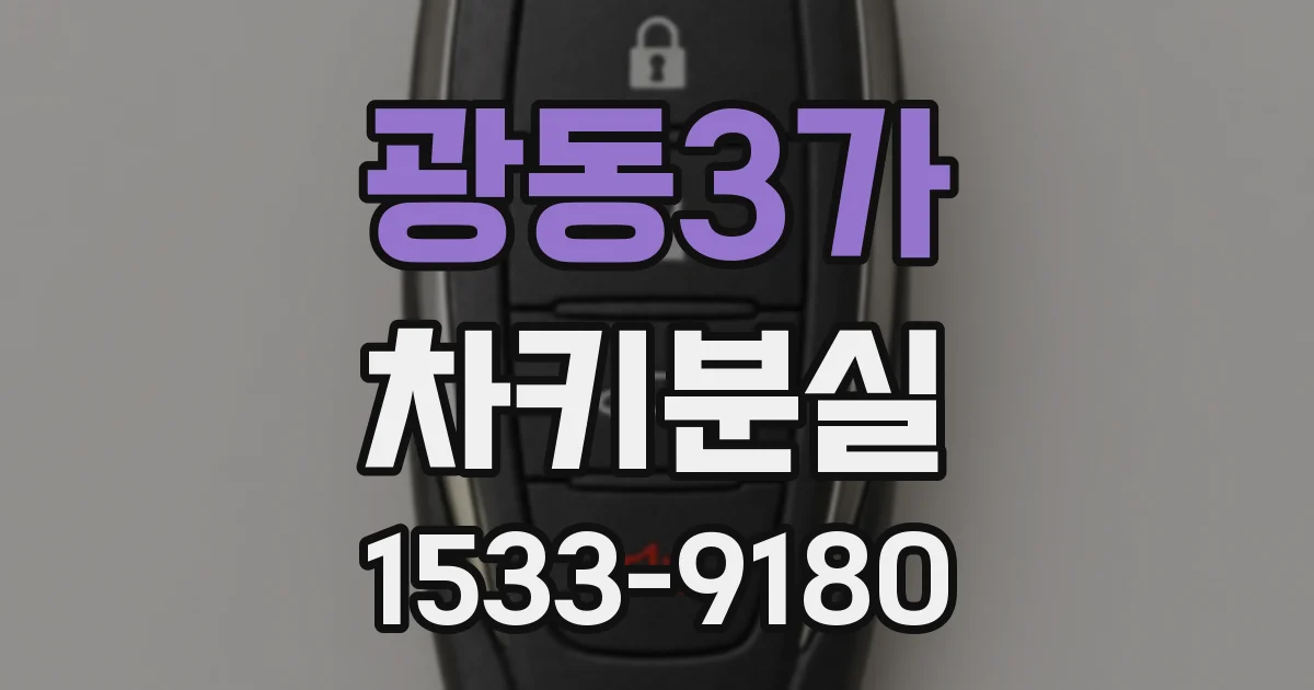 광동3가 차키분실