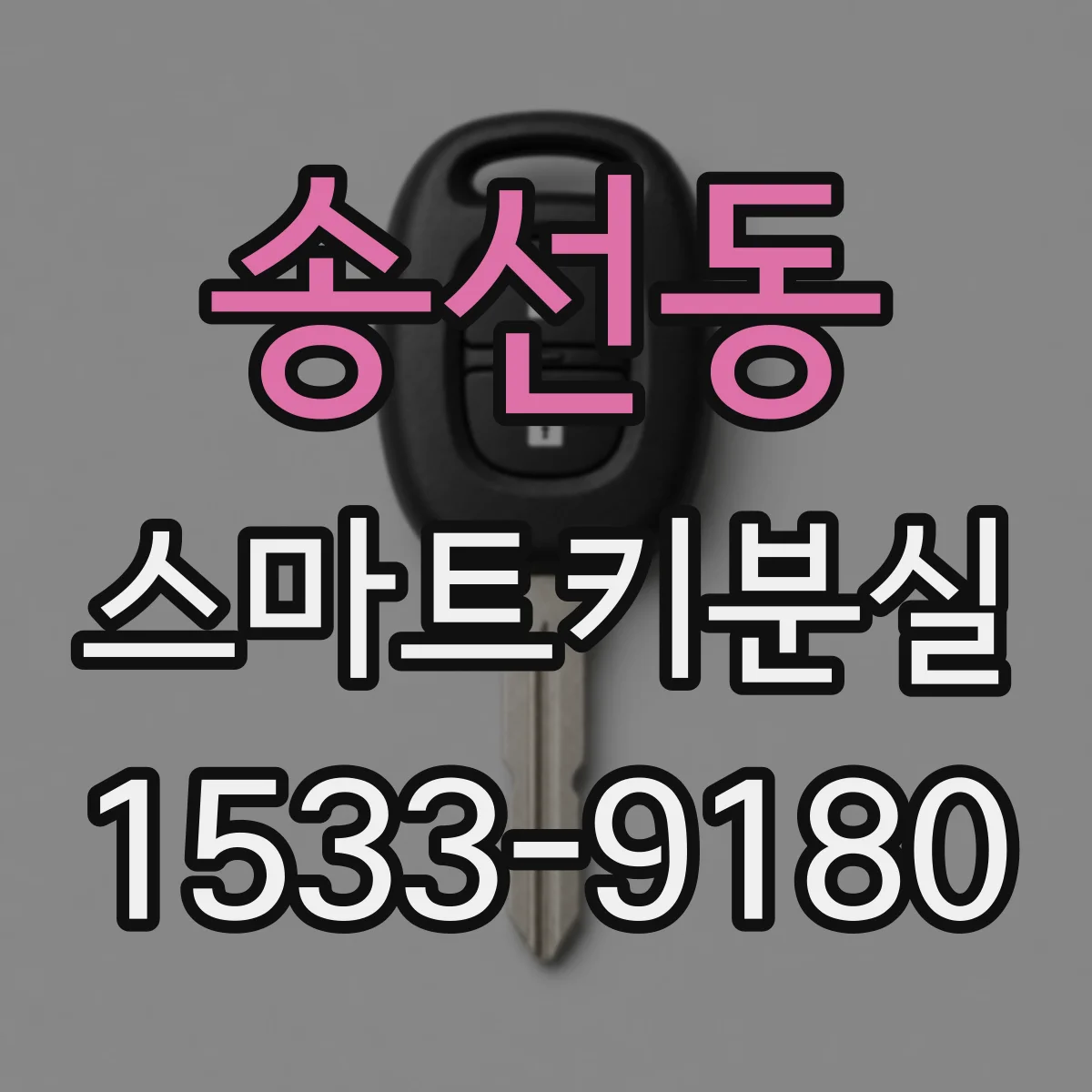 송선동 스마트키분실