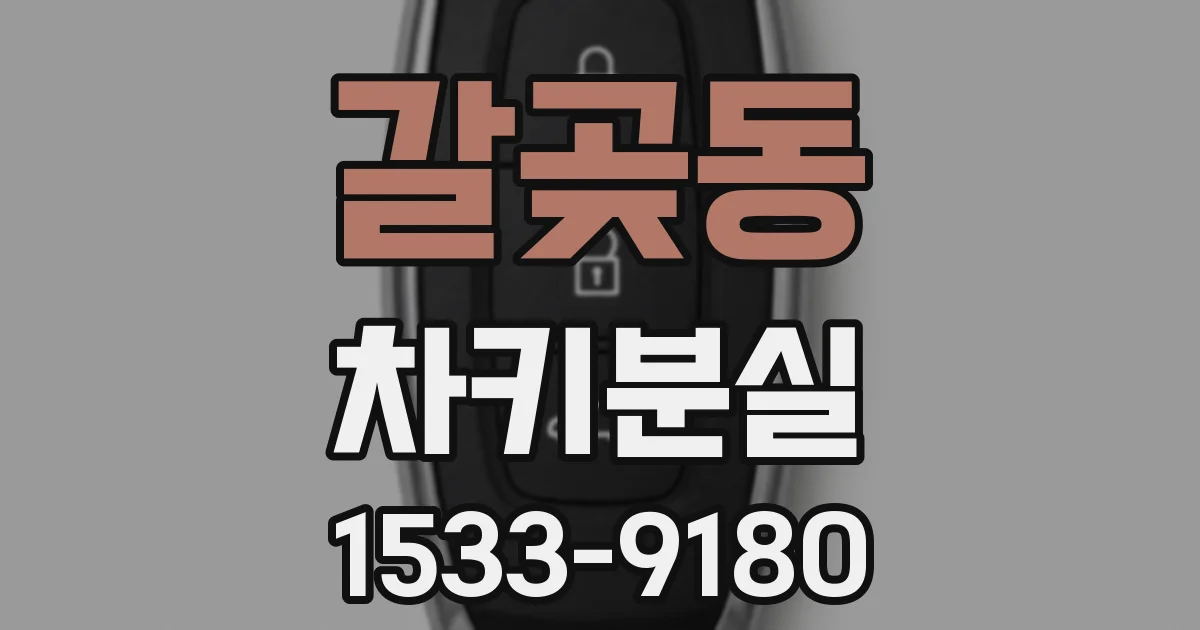 갈곶동 차키분실