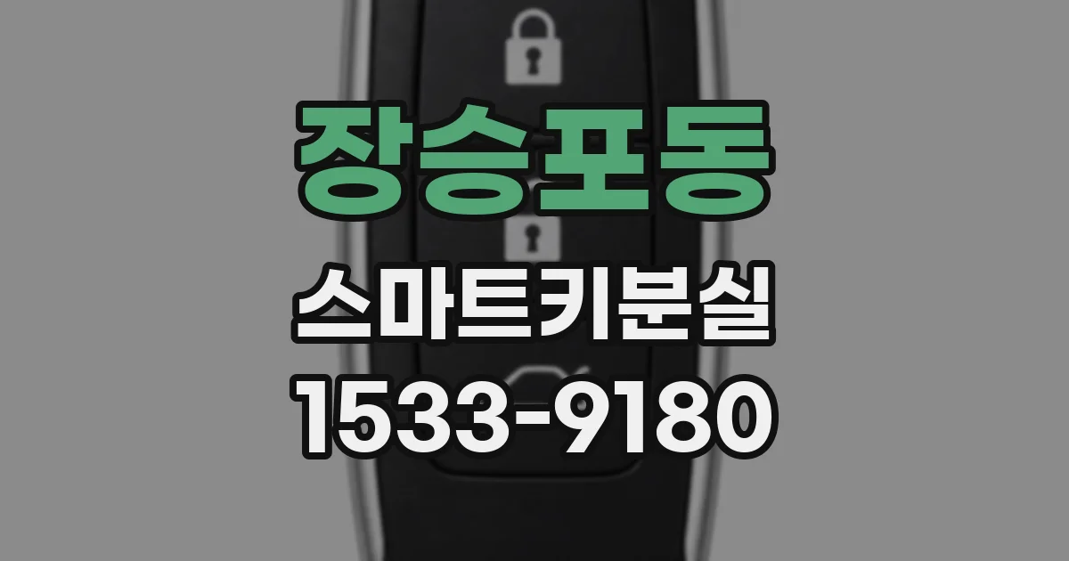 장승포동 스마트키분실