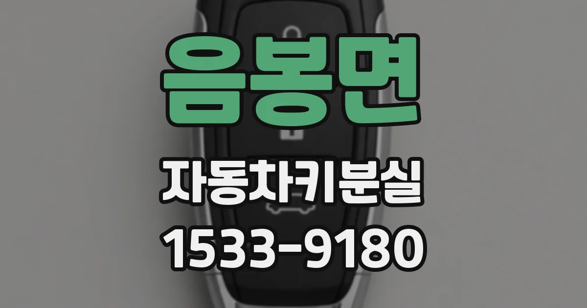 음봉면 자동차키분실