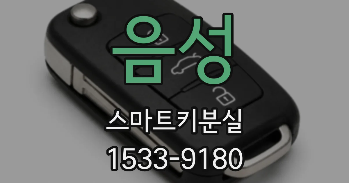 음성 스마트키분실