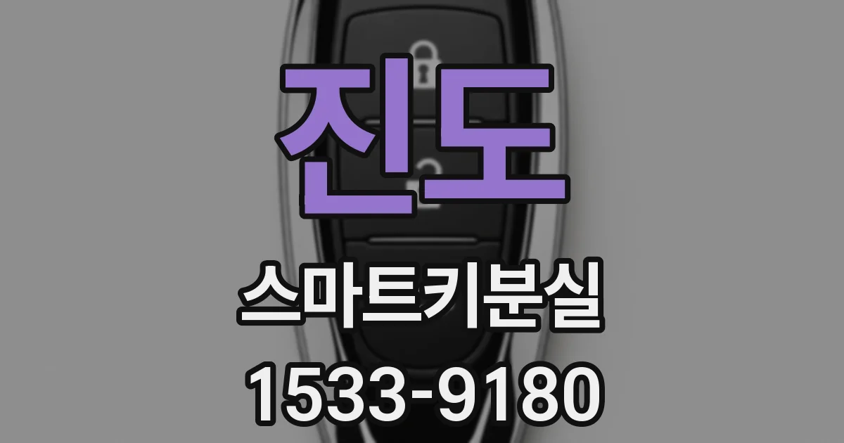 진도 스마트키분실