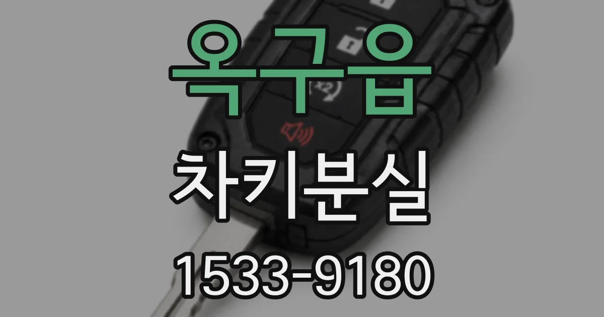 옥구읍 차키분실